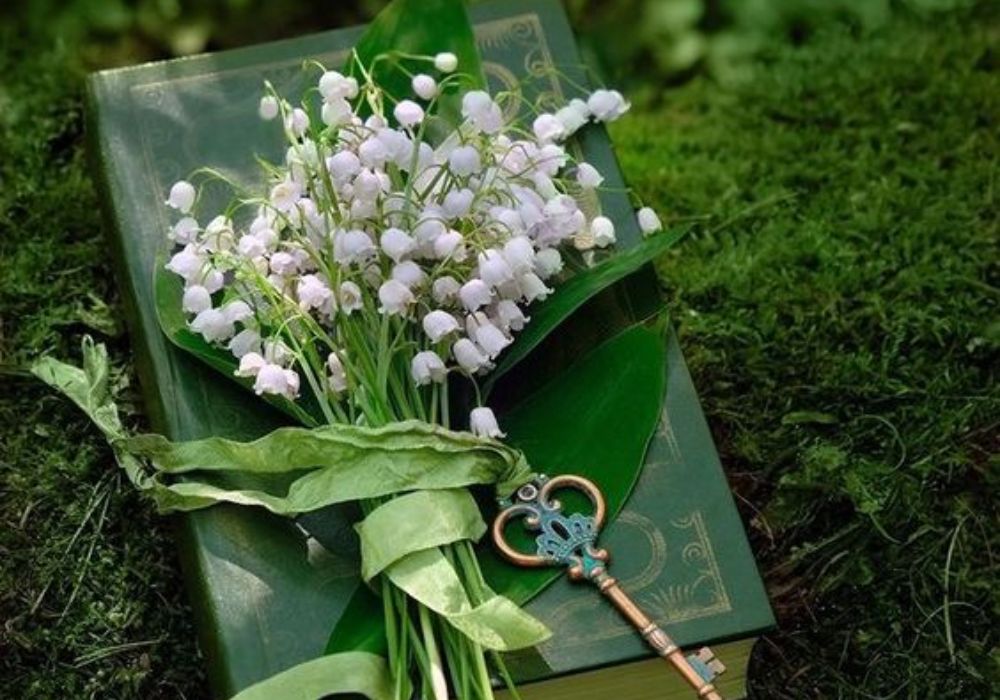 Hoa Linh Lan – Biểu tượng của sự tinh khiết và may mắnHoa linh lan, hay còn gọi là Lily of the Valley, là loài hoa nhỏ nhắn nhưng mang trong mình ý nghĩa sâu sắc về sự tinh khiết và may mắn. Xuất hiện nhiều trong các lễ cưới và những dịp đặc biệt, loài hoa này không chỉ đẹp bởi vẻ ngoài dịu dàng mà còn là biểu tượng cho những giá trị tinh thần cao quý. Trong nhiều nền văn hóa, hoa linh lan được xem là loài hoa mang đến niềm hạnh phúc, sự khởi đầu mới và hạnh phúc viên mãn trong cuộc sống. Với hương thơm thanh khiết và vẻ đẹp thuần khiết, linh lan là lựa chọn hoàn hảo cho những ai đang tìm kiếm một loài hoa gợi nhớ đến những điều tươi đẹp và an lành.
